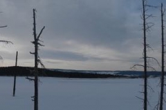 Yellowstone-Winter-2014-54
