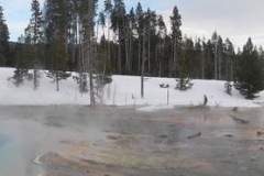 Yellowstone-Winter-2014-56