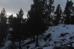 Yellowstone-Winter-2014-57
