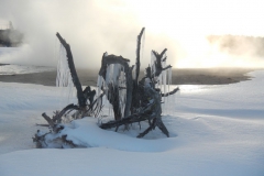 Yellowstone-Winter-2014-62