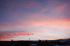 Yellowstone-Winter-2014-66