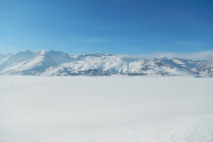 Yellowstone-Winter-2014-68
