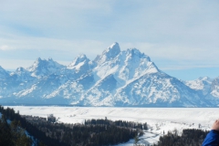 Yellowstone-Winter-2014-70