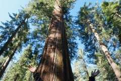 Yosimite-Big-Sur-Halfmoon-bay-2011-14