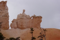 Zion-and-Bryce-2008-16