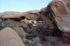 Zion-and-Bryce-2008-27