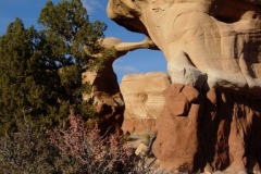 Zion-and-Bryce-2008-36
