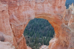 Zion-and-Bryce-2008-42