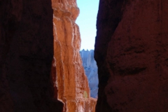 Zion-and-Bryce-2008-8